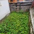 Casa de vânzare 5 camere Sacele - 201308CV - Poza 1 din 16 | BLITZ Brașov | Poza8