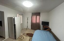 Garsonieră 22 mp, Pet Friendly, parcare, curte, Zona Someșeni