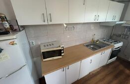 Apartament 1 cameră, 56 mp, zona Someșeni