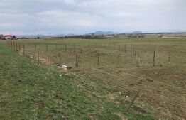 Teren intravilan 996 mp, Bârsei Brașov - priveliște Bucegi și Piatra Craiului