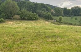 Teren intravilan autorizabil, 1397 mp, front 16.5 m, zona Micesti 