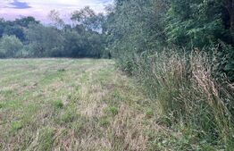 Teren intravilan autorizabil, 1397 mp, front 16.5 m, zona Micesti 