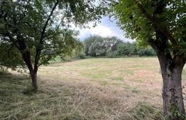 Teren intravilan autorizabil, 1397 mp, front 16.5 m, zona Micesti 