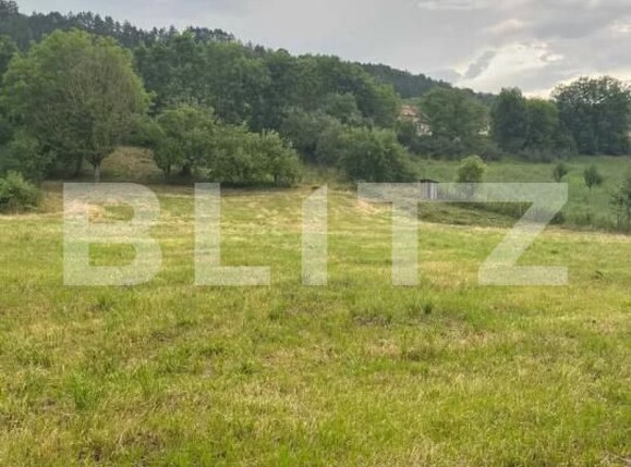Teren de vânzare Exterior Sud - 201393TV | BLITZ Cluj-Napoca | Poza3