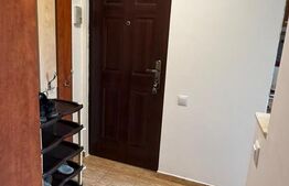 Apartament 2 camere, zona Gemenii, aer conditionat, loc de parcare
