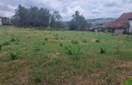 Teren intravilan, 900 mp, zona Borsa
