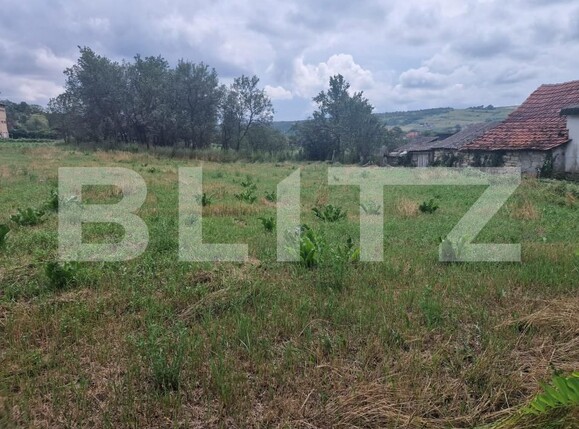 Teren de vânzare Borşa - 201553TV | BLITZ Cluj-Napoca | Poza3