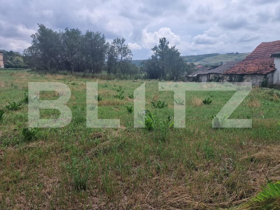 Teren de vânzare Borşa - 201553TV | BLITZ Cluj-Napoca | Poza3