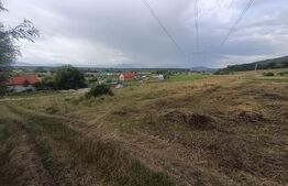 Teren 3.600 mp, ideal pentru livadă, cabană sau investiție în Podu Olt