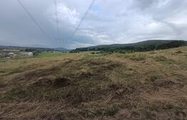 Teren 3.600 mp, ideal pentru livadă, cabană sau investiție în Podu Olt