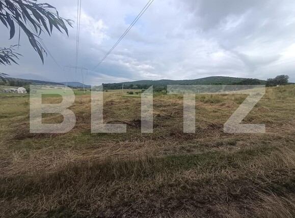 Teren de vânzare Podu Oltului - 201591TV | BLITZ Brașov | Poza1