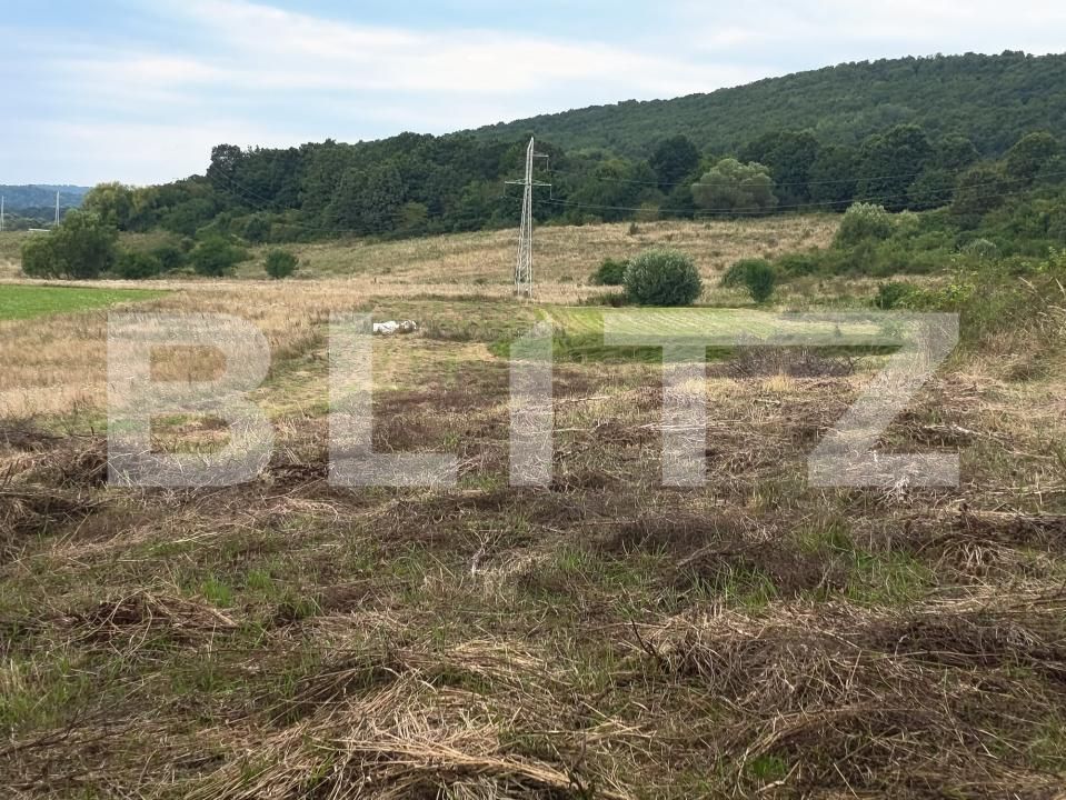Teren de vânzare Podu Oltului - 201591TV | BLITZ Brașov | Poza3