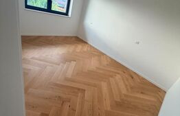 Casă P+1 de vânzare 232 mp utili, teren 500 sau 1.000 mp,  în Bod 