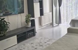 Apartament decomandat, 40 mp, etaj 1, zona Porii