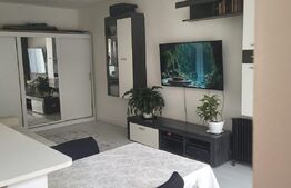 Apartament decomandat, 40 mp, etaj 1, zona Porii