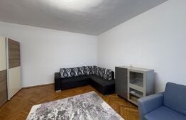 Apartament 1 camera, pet friendly, parcare, zona Centrala