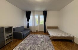 Apartament 1 camera, pet friendly, parcare, zona Centrala
