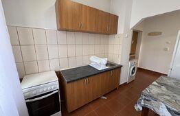 Apartament 1 camera, pet friendly, parcare, zona Centrala