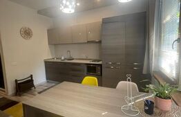 Apartament 2 camere, 50 mp, parcare, zona Parcul Babes