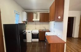 Apartament 2 camere, 50 mp, zona Marasti