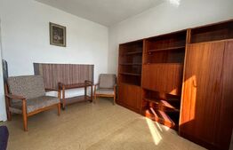 Apartament  2 camere, 49 mp, pet friendly, zona Grigorescu 