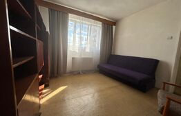 Apartament  2 camere, 49 mp, pet friendly, zona Grigorescu 