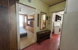 Apartament  2 camere, 49 mp, pet friendly, zona Grigorescu 