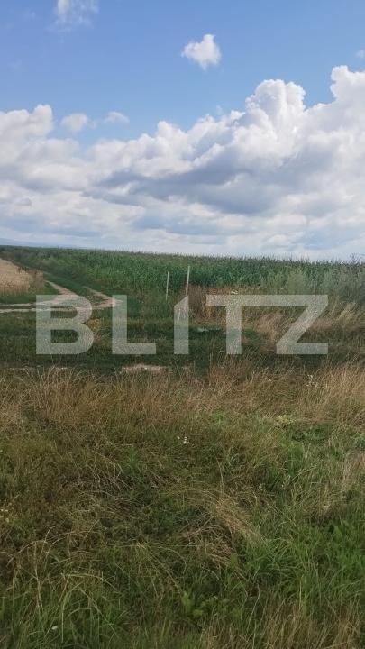Teren de vânzare Cristian - 201712TV | BLITZ Brașov | Poza3