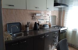 Apartamnet 1 camera, 80 mp, zona Marasti