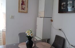 Apartamnet 1 camera, 80 mp, zona Marasti