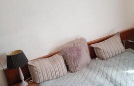 Apartamnet 1 camera, 80 mp, zona Marasti