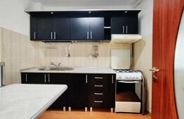 Apartament 1 camera, 38 mp, zona Marasti