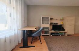 Apartament 1 camera, 38 mp, zona Marasti