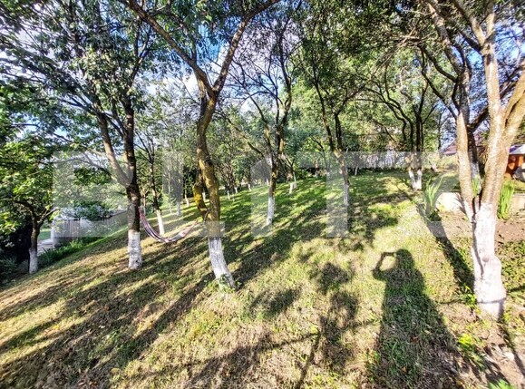 Casa de vânzare 3 camere Vechea - 201749CV | BLITZ Cluj-Napoca | Poza7