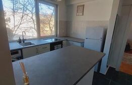 Apartaent 2 camere, 50 mp, pet friendly, str. Mihai Viteazul 