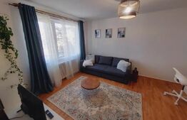 Apartaent 2 camere, 50 mp, pet friendly, str. Mihai Viteazul 