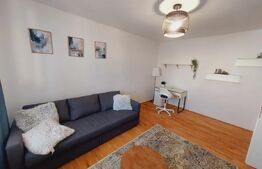 Apartaent 2 camere, 50 mp, pet friendly, str. Mihai Viteazul 