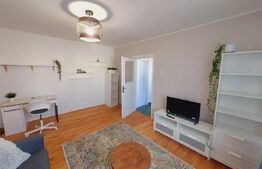 Apartaent 2 camere, 50 mp, pet friendly, str. Mihai Viteazul 