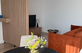 Apartament o camera, 39 mp, zona Terra