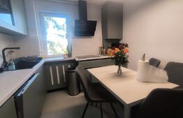 Apartament 2 camere, etaj intermediar, Astra