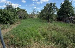 Casă individuală cu teren de 800 mp de vânzare în Cornești, comuna Mihai Viteazu
