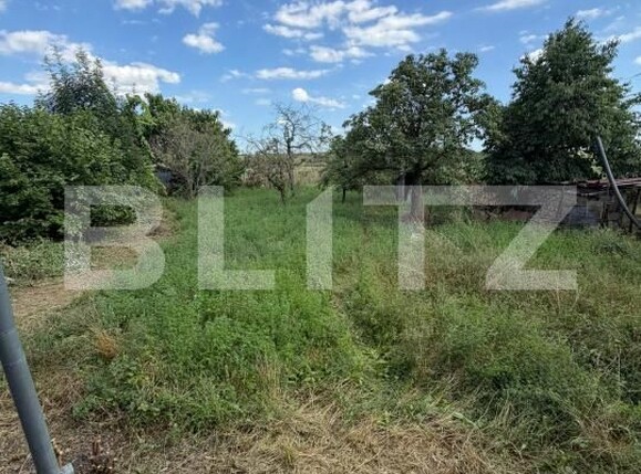 Casa de vânzare 3 camere Cornesti (Mihai Viteazu) - 201827CV | BLITZ Cluj-Napoca | Poza4