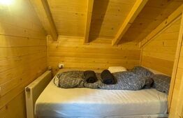Cabană la munte cu saună finlandeză și teren generos