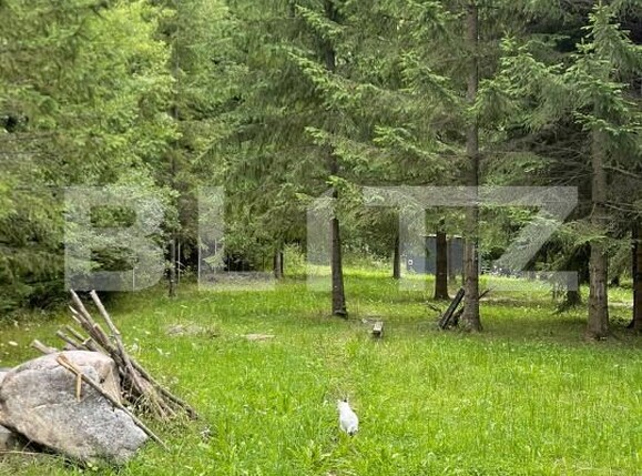 Casa de vânzare 3 camere Valea Drăganului - 201828CV | BLITZ Cluj-Napoca | Poza12
