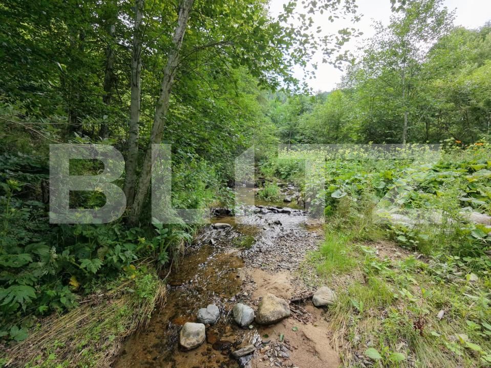 Casa de vânzare 3 camere Valea Drăganului - 201828CV | BLITZ Cluj-Napoca | Poza9