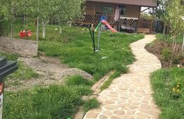 Casă deosebită din lemn masiv de stejar, 125 mp utili, teren 700 mp, Bod