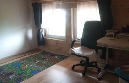 Casă deosebită din lemn masiv de stejar, 125 mp utili, teren 700 mp, Bod