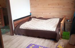 Casă deosebită din lemn masiv de stejar, 125 mp utili, teren 700 mp, Bod