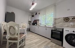  Duplex spațios, 256 mp utili, 700 mp de teren  