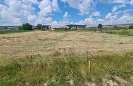 Teren Intravilan, 3600 mp, zona plata, in Jucu de Mijloc